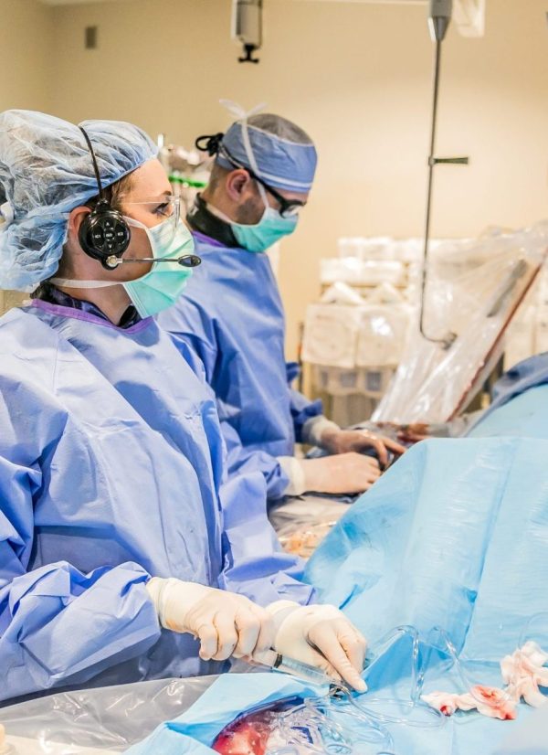Transcatheter Aortic Valve Replacement (TAVR)