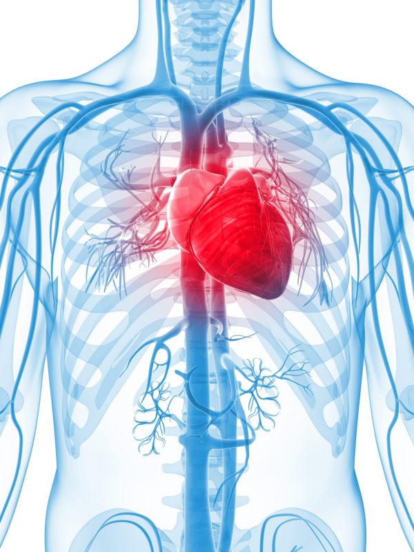 Vascular Care